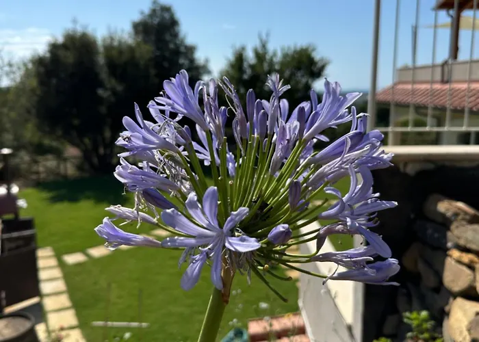 A Casa Di Leo Frühstückspension
